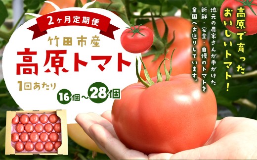 【2ヶ月定期便】 竹田市産 高原トマト 16個～28個 【2026年5月下旬-2027年1月上旬発送予定】