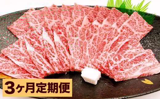 【3カ月定期便】おおいた和牛上カルビ焼肉