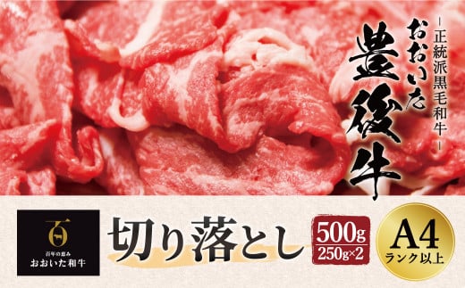 [ANAにキュン限定]正統派黒毛和牛 おおいた豊後牛 切り落とし 500g 小分け