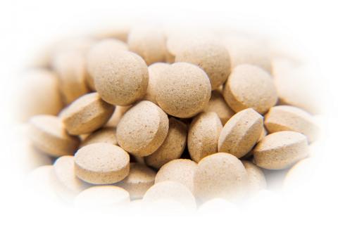 冬虫夏草　源氣