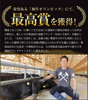 【年内配送】【スピード発送】 焼肉セット (計800g) 黒毛和牛 A4~A5ランク おおいた和牛 九州 ブランド牛 焼き肉 バーベキュー 国産 牛肉 冷凍