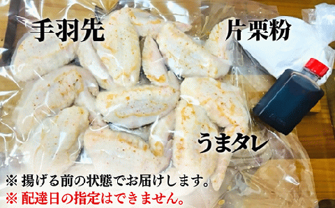 うまタレ付 手羽先 600g 【 からあげ 壱気 】
