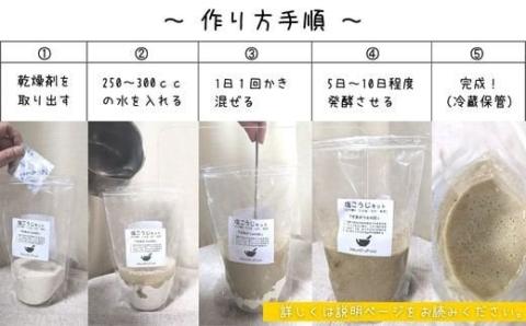 てづくり 出汁塩こうじキット 150ｇ 無添加 玄米麹 液体麹 国産 素材 こんぶ 干 しいたけ 椎茸 塩 【スピード発送】