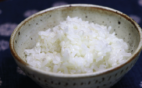 精白 ハトムギ 300g×3袋（ひきわりタイプ） はとむぎごはん 健康 美容 栄養 ご飯 国産 はと麦 はとむぎ スーパーフード 食物繊維 健康食品 穀物 【スピード発送】
