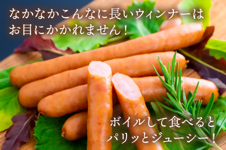 【1月配送】 ウインナー 600g前後(4、5人前) ソーセージ ロング JAS特級 あらびき 豚肉 ボリューム 焼き肉 バーベキュー 惣菜 弁当 BBQ 人気 おつまみ 食品 おかず 粗挽き キャンプ 国産
