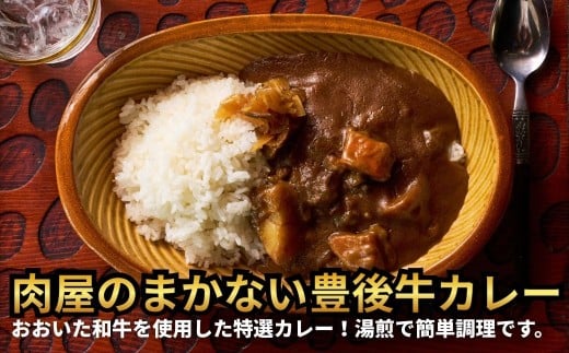 肉屋のまかない豊後牛カレー230g (10袋) レトルトカレー 大分県 国産 黒牛 和牛 牛肉 ビーフ パック ご当地カレー おかず 惣菜 簡単調理 湯煎調理 おおいた豊後牛