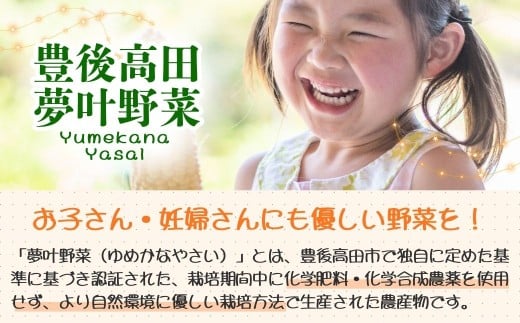 【先行予約・2月～3月にお届け】 季節の野菜 詰め合わせセット (野菜6～8品目) 夢叶野菜ボックス | 新鮮 産地直送 旬 国産 葉物 根菜 おすすめ 人気 野菜詰め合わせ 野菜セット 春野菜 夏野菜 秋野菜 葉物 果物 果菜 根菜 冷蔵 野菜室 さつまいも じゃがいも にんじん かぼちゃ だいこん 玉ねぎ キャベツ ブロッコリー ほうれんそう 送料無料 豊後高田市