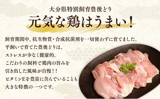 鶏もも 小分け (250g×12個 計3kg) カット済み もも肉 鶏肉 豊後どり 地鶏 モモ肉 鶏もも 鶏モモ 大容量 冷凍 特別飼育 国産 九州 鶏 とり 鳥肉 鳥