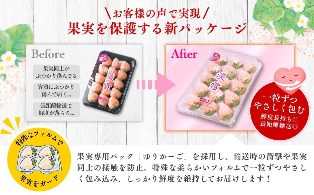 【先行予約】 白いちご 淡雪 (220g×2パック) フルーツ くだもの 白いちご 果物 完熟 イチゴ 苺 希少 おすすめ 白 果実 デザート 甘い 直送 人気 No.1 期間限定 大分県 豊後高田市 国産 箱入り ストロベリー 先行受付