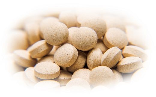 冬虫夏草　快福