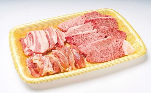 おおいた和牛焼肉セット（合計1.6kg） 牛肉 豚肉 鶏肉 バーベキュー セット 黒毛和牛 A4等級以上 黒毛和牛 アウトドア 肉
