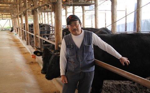 おおいた豊美牛バラ切り落とし(600g)