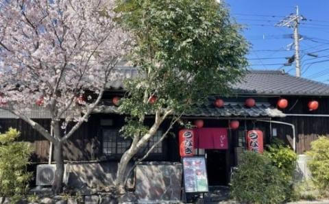 志おや うなぎ 白焼 3本 塩付 鰻 ウナギ 九州産 贅沢 化粧箱入り 【スピード発送】