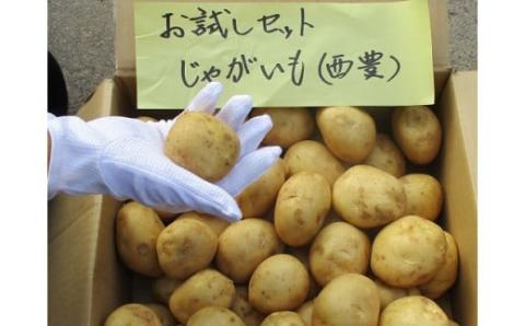 有機JASじゃがいも（10kg/訳あり/S～Lサイズ）