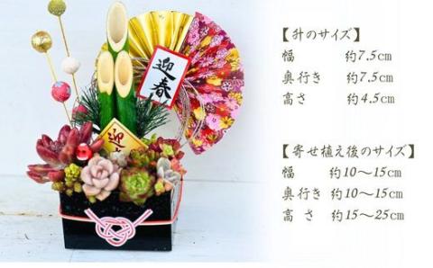 【先行受付】多肉植物のミニ門松