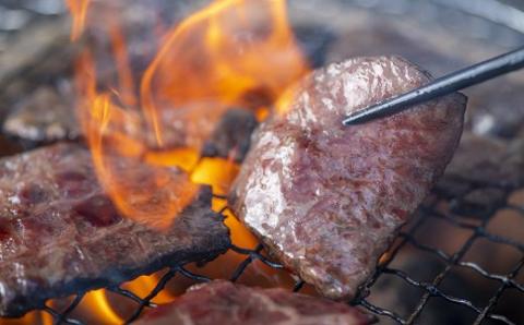 豊後・米仕上牛もも カルビ 焼肉 食べ比べ (500g) 牛肉 国産 九州産 和牛 焼き肉 バーベキュー アウトドア キャンプ