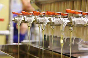 無添加菜の花油（1.5L × 2本）お試しひまわり油付