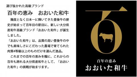 【年内配送】【スピード発送】 焼肉セット (計800g) 黒毛和牛 A4~A5ランク おおいた和牛 九州 ブランド牛 焼き肉 バーベキュー 国産 牛肉 冷凍