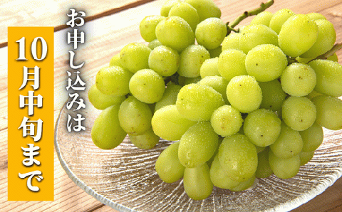 【先行予約】 至極の果実 おおいたのシャインマスカット 2kg