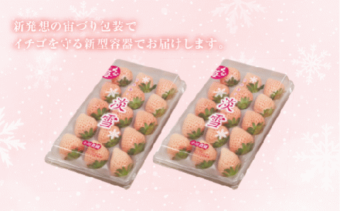 【先行予約】 白いちご 淡雪 (220g×2パック) フルーツ くだもの 白いちご 果物 完熟 イチゴ 苺 希少 おすすめ 白 果実 デザート 甘い 直送 人気 No.1 期間限定 大分県 豊後高田市 国産 箱入り ストロベリー 先行受付