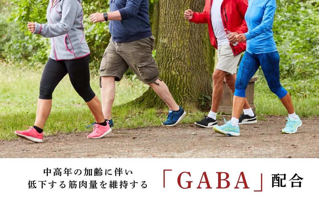 茶花青汁スッキリッチ×3箱 | 青汁 野菜 ダイエット 体脂肪 筋力 ウエスト 乳酸菌 健康食品 豊後高田市