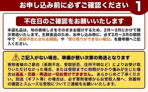 【先行予約・2月～3月にお届け】 季節の野菜 詰め合わせセット (野菜6～8品目) 夢叶野菜ボックス | 新鮮 産地直送 旬 国産 葉物 根菜 おすすめ 人気 野菜詰め合わせ 野菜セット 春野菜 夏野菜 秋野菜 葉物 果物 果菜 根菜 冷蔵 野菜室 さつまいも じゃがいも にんじん かぼちゃ だいこん 玉ねぎ キャベツ ブロッコリー ほうれんそう 送料無料 豊後高田市