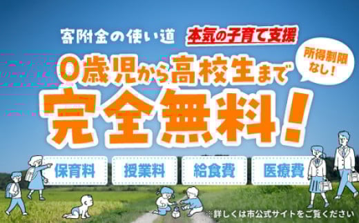 【子育て支援限定使い道】賛同型寄付（大分県豊後高田市） ふるさと納税で子育て支援！