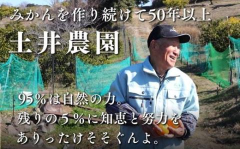 【先行予約】土井さんのみかん１０ｋｇ