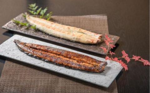 うなぎ処 志おや お食事券 1名様 チケット 鰻 うなぎ ウナギ 【スピード発送】