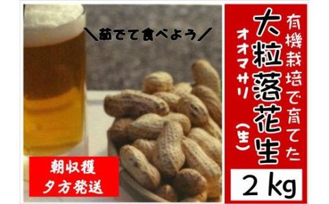 有機栽培で育てたこだわりの大粒落花生 2kg（おおまさり）