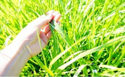 【草地和牛】レトルト　3種詰合せB（各2セット）