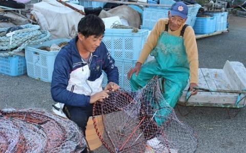 修福丸ん赤・青ナマコの食べ比べ！（赤・青各１袋）