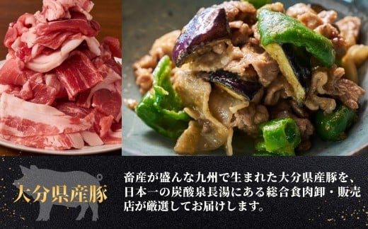 【豚肉／豚肉スピード発送】豚肉切り落とし 3kg（500g×6袋）