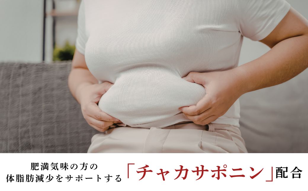 茶花青汁スッキリッチ×1箱 | 青汁 野菜 ダイエット 体脂肪 筋力 ウエスト 乳酸菌 健康食品 豊後高田市