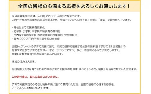 【子育て支援限定使い道】賛同型寄付（大分県豊後高田市） ふるさと納税で子育て支援！