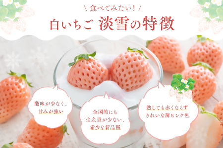 【先行予約】 白いちご 淡雪 (220g×2パック) フルーツ くだもの 白いちご 果物 完熟 イチゴ 苺 希少 おすすめ 白 果実 デザート 甘い 直送 人気 No.1 期間限定 大分県 豊後高田市 国産 箱入り ストロベリー 先行受付