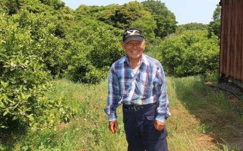 【先行予約】土井さんのみかん１０ｋｇ