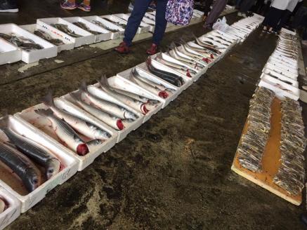 【レンジでチン！】魚市場のしゅうまい4種詰合せ