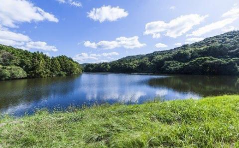 大分の山と谷が育てたヒヨクモチ（もち米・5kg）