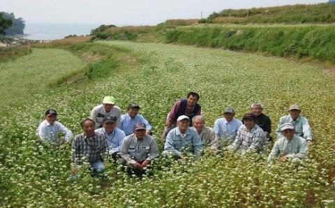 石臼挽きそば粉（500g×2袋、割粉100g×2袋）