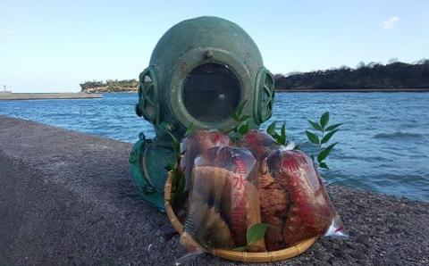 修福丸ん赤・青ナマコの食べ比べ！（赤・青各１袋）