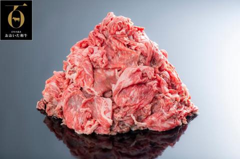 牛肉 片桐さんの切り落とし（3kg）「おおいた和牛」 牛肉 切り落とし 黒毛和牛 小分け 冷凍