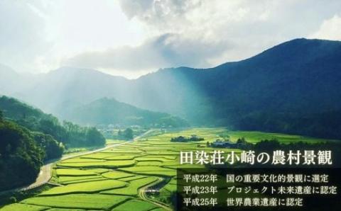 特別純米酒 日本酒「田染の夕 窓の月」 1本 720ml 米 ヒノヒカリ