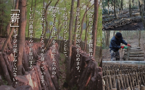 クヌギ 薪 12kg （大分県豊後高田産）