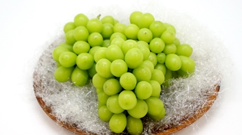 【先行予約】 至極の果実 おおいたのシャインマスカット 2kg