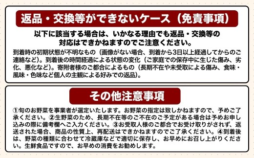 【先行予約・2月～3月にお届け】 季節の野菜 詰め合わせセット (野菜6～8品目) 夢叶野菜ボックス | 新鮮 産地直送 旬 国産 葉物 根菜 おすすめ 人気 野菜詰め合わせ 野菜セット 春野菜 夏野菜 秋野菜 葉物 果物 果菜 根菜 冷蔵 野菜室 さつまいも じゃがいも にんじん かぼちゃ だいこん 玉ねぎ キャベツ ブロッコリー ほうれんそう 送料無料 豊後高田市