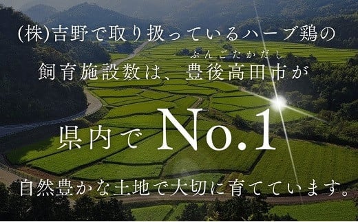 【鶏モモ肉 4kg／12か月定期便】大分県産 ハーブ鶏 計48kg 業務用 冷蔵 配送 国産 九州 鶏肉 鶏もも 定期便 毎月 発送 12回