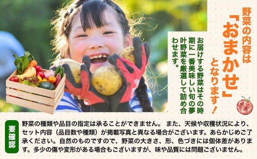 【先行予約・2月～3月にお届け】 季節の野菜 詰め合わせセット (野菜6～8品目) 夢叶野菜ボックス | 新鮮 産地直送 旬 国産 葉物 根菜 おすすめ 人気 野菜詰め合わせ 野菜セット 春野菜 夏野菜 秋野菜 葉物 果物 果菜 根菜 冷蔵 野菜室 さつまいも じゃがいも にんじん かぼちゃ だいこん 玉ねぎ キャベツ ブロッコリー ほうれんそう 送料無料 豊後高田市