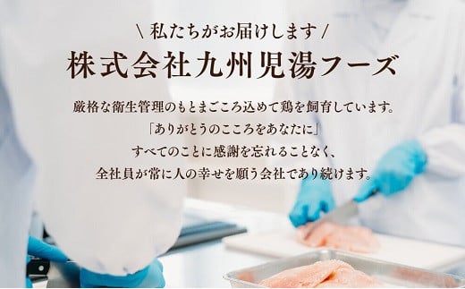 鶏もも 小分け (250g×12個 計3kg) カット済み もも肉 鶏肉 豊後どり 地鶏 モモ肉 鶏もも 鶏モモ 大容量 冷凍 特別飼育 国産 九州 鶏 とり 鳥肉 鳥