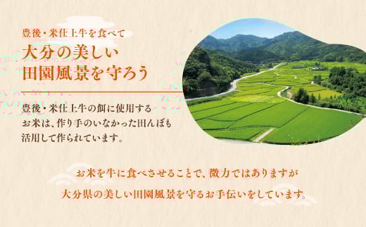 豊後・米仕上牛お楽しみコース（豊後高田市限定・毎月発送・計３回・定期便）